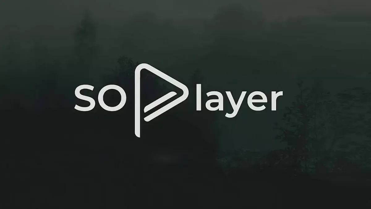 How To Use SO Player When Connecting To A Server?