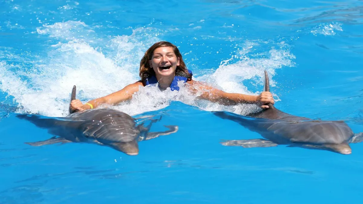 Dive into Joy: Swimming with Dolphins in Punta Cana